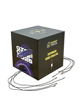 Зарядная станция Energy Cube XL (50х50см)